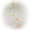 Carillon solaire libellule Valcour