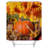 Shower Curtain with Hooks Included