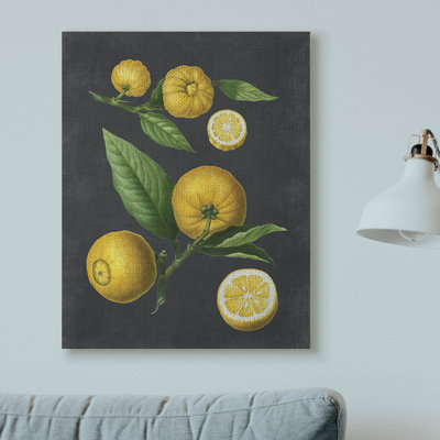 «Botanical Dessin Lemons On Black Design», impression