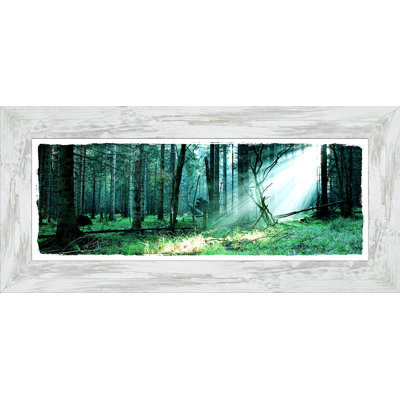 Forest Harmony IV - Single Picture Frame Print