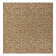 Animal Print Indoor Rug