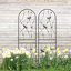 Treillis en métal pour jardin-481118238