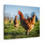 Art de poulet majestueux, impression murale-1350262229