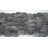 11.5" x 11.5" Random Sized Natural Stone Penny Round Mosaic Wall & Floor Tile-50943465