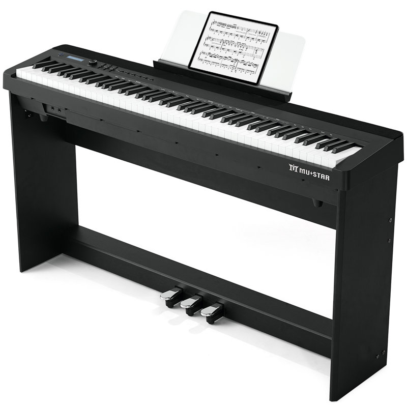 Black Wood Electric Play Music Instrument
