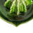 Cactus-Shaped Stoneware Juicer