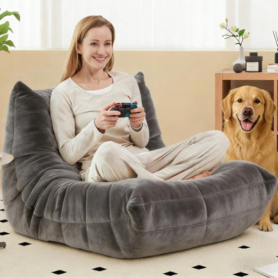 Velvet Indoor Bean Bag Chair