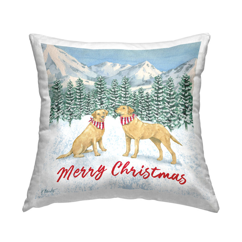 Throw Pillow
