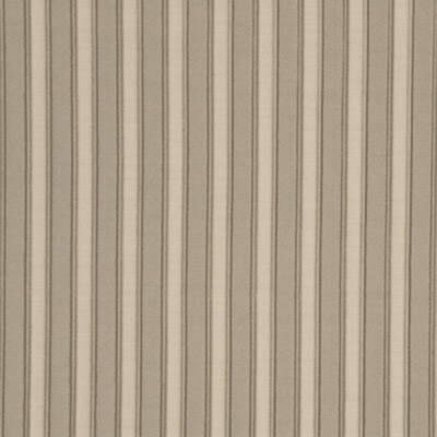 Pleated Striped Silk Fabric