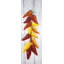 «Rope Of Chili Peppers», reproduction sur toile
