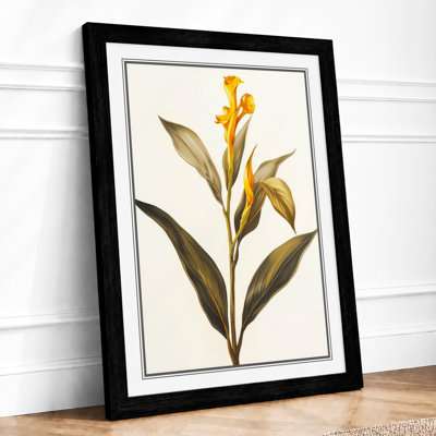 Golden Daffodil Study Botanical - Framed Print