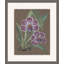 Orchid Study 7 Painting