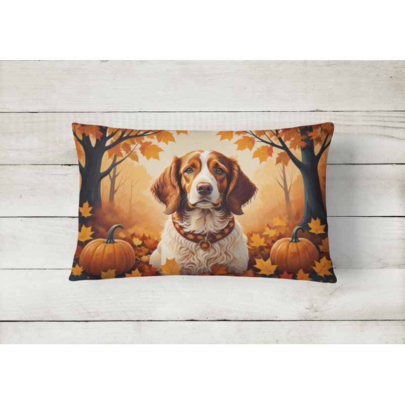 Outdoor Throw Pillow