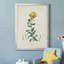 Toile encadrée de qualité supérieure Traditional Botanical III - prête à être accrochée-1366615110-1366615108