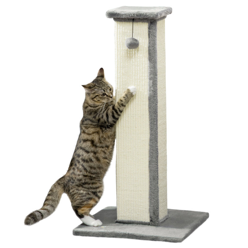 Scratching Post