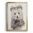 " Dressy Cub "-1889419954-1889419965