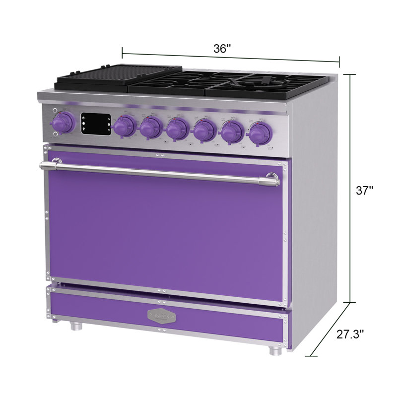 Combiné de cuisinière à gaz autoportant Akicon, comprend des brûleurs scellés, un four à convection rapide, un combustible convertible (GN / PL), une grille en fonte durable (APSAPSB3)