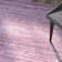 Swampscott Solid Colour Area Rug
