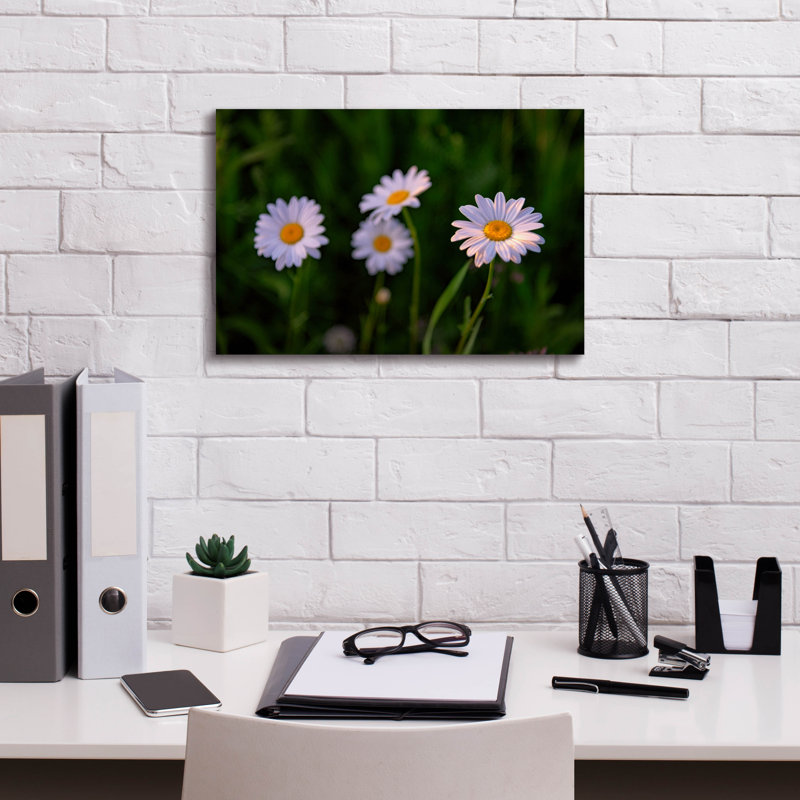 'Leucanthemum' by Rick Berk Canvas Wall Art