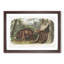 Cinnamon Bears by J.W. Audubon - Picture Frame Painting Print-55545838-55545840