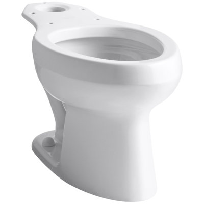 Wellworth 1.6 GPF Elongated Toilet Bowl (Seat Not Included)