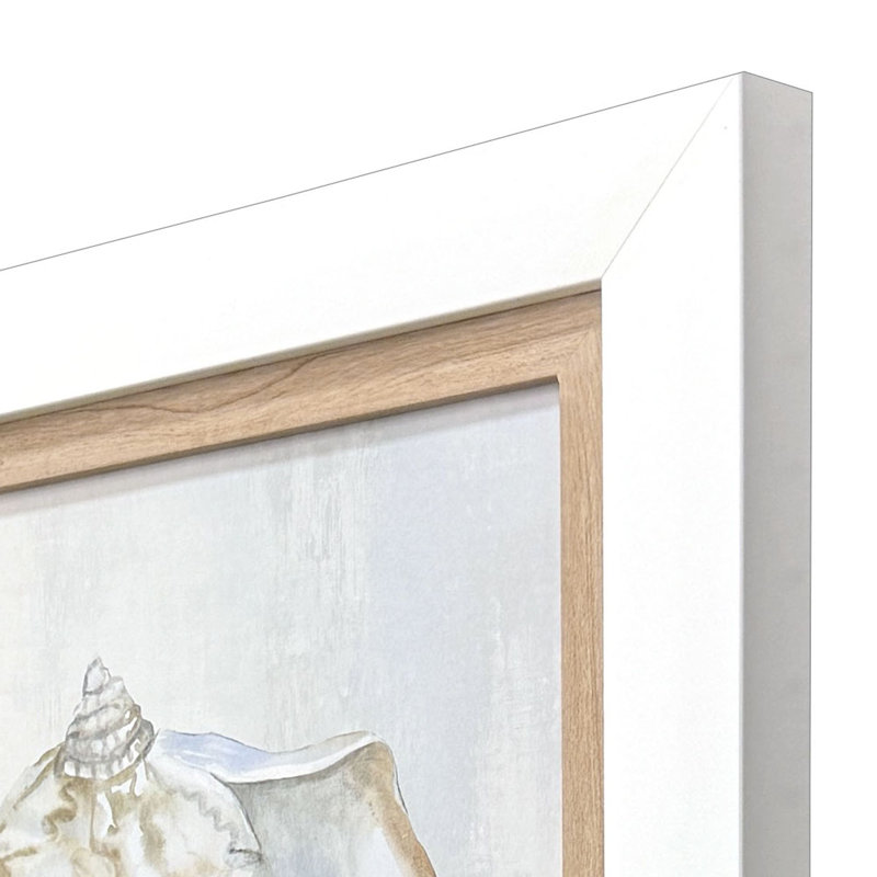 «Serenity Shells II», art encadré