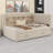 Modern Upholstered Daybed with Trundle, Storage Shelves, USB  and Outlet