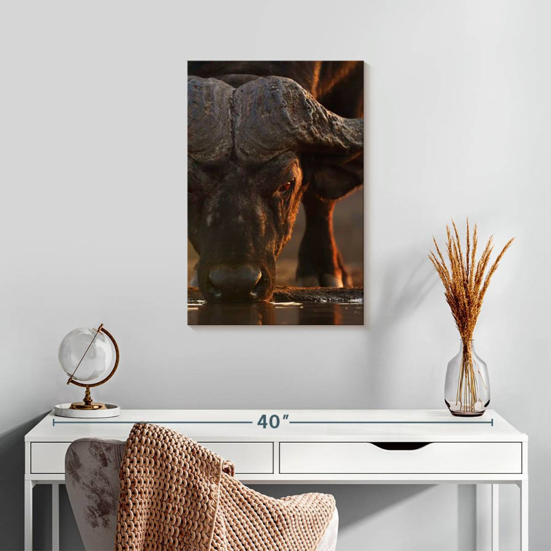 Brampt Drinking Cape Buffalo, 24" H x 16" W