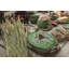 Bosque Earthenware Tureen