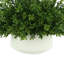 15'' Faux Boxwood Plant in Ceramic Pot
