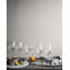 Premium Cordial Glass