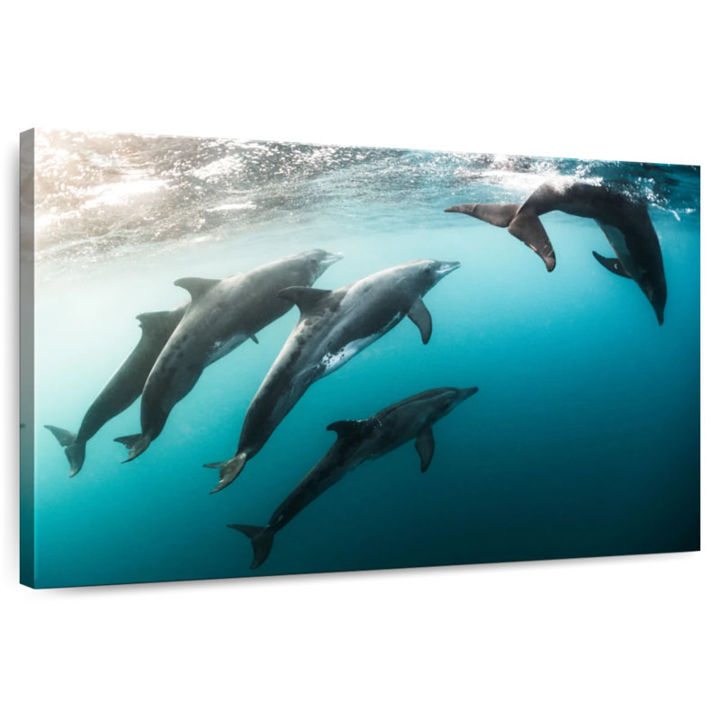 Brampt Dolphin Playmates, 20" H x 30" W