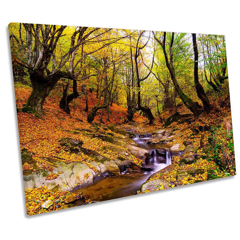 Autumn Forest Woodland - Wrapped Canvas Painting, 30.5cm H x 45.7cm W x 2cm D