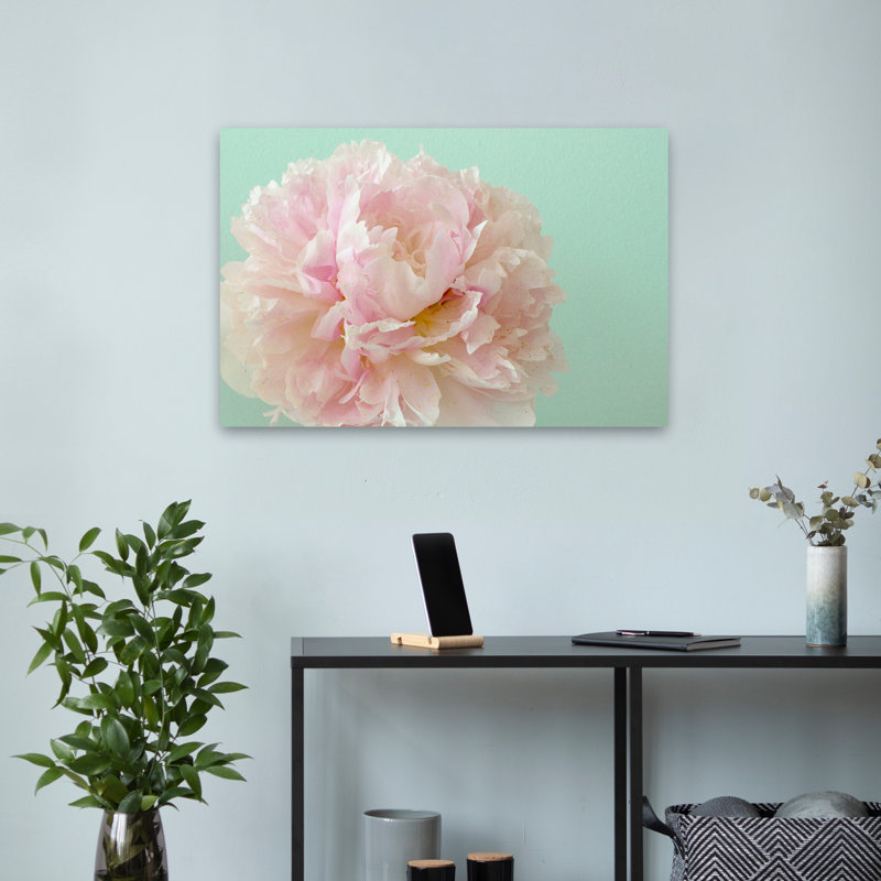 Plantes, fleurs, éclaboussures, art mural, H 16 po x l 24 po