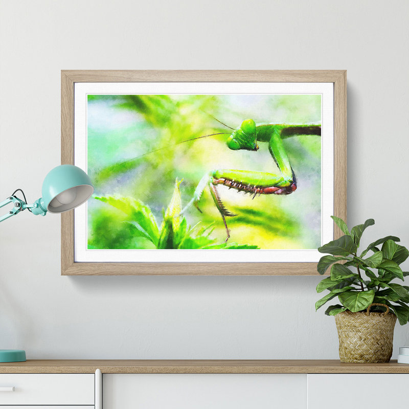 Peering Praying Mantis - Picture Frame Graphic Art Print, Oak, 45cm H x 63cm W x 2cm D
