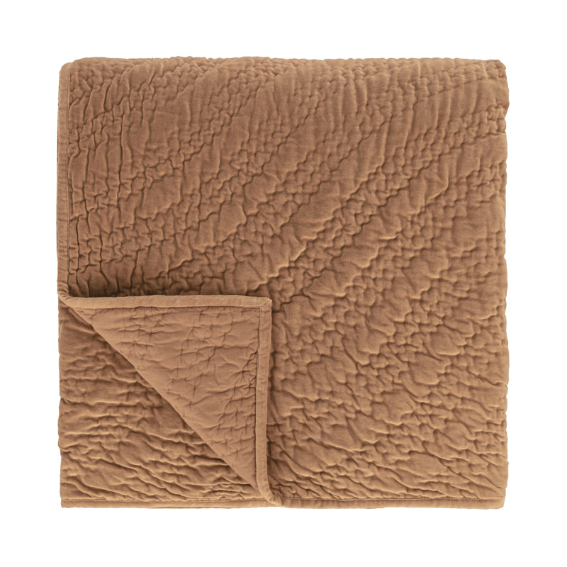 Elms 4-Piece Velvet Cotton Blend Quilt Set, Brown