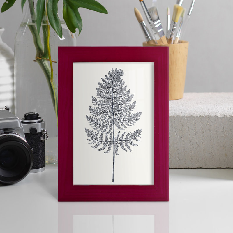 Indigo Botany Study VIII - Reproduction d'un seul cadre photo, Rouge, H 6 po x l 4 po x P 1 po