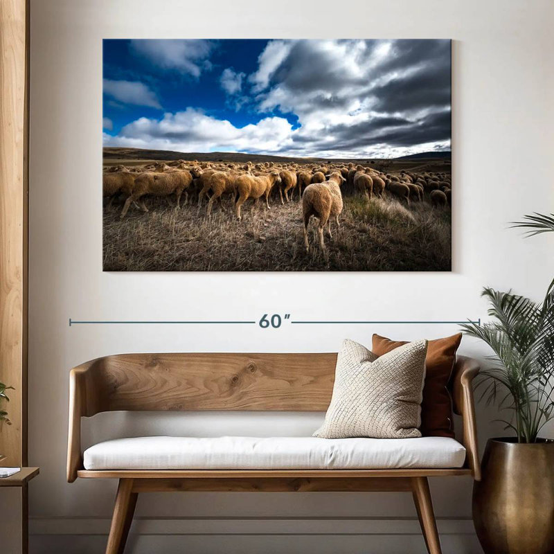 Brampt Soria Sheep Flock