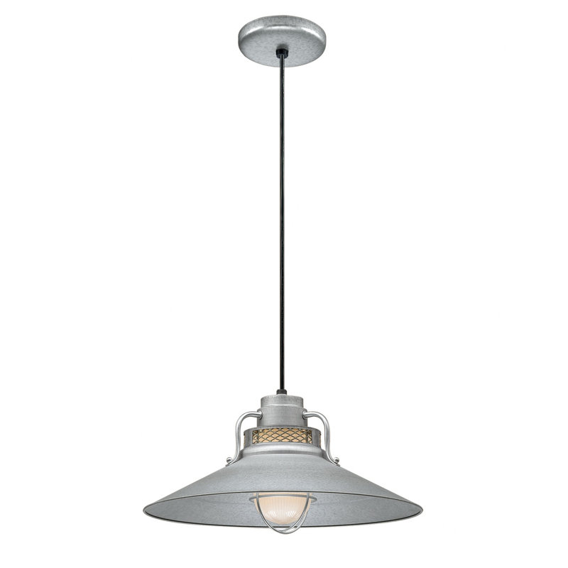 Luminaire suspendu conique à 1 lumière Fitzhugh, Galvanisé, H 10 po x l 18 po