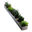 Fruit Trough-87081331