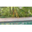 Weather Resistant Solid Wood Planter Accessory