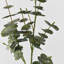 Branche d'eucalyptus artificiel Audet (1 tige)-1336703816