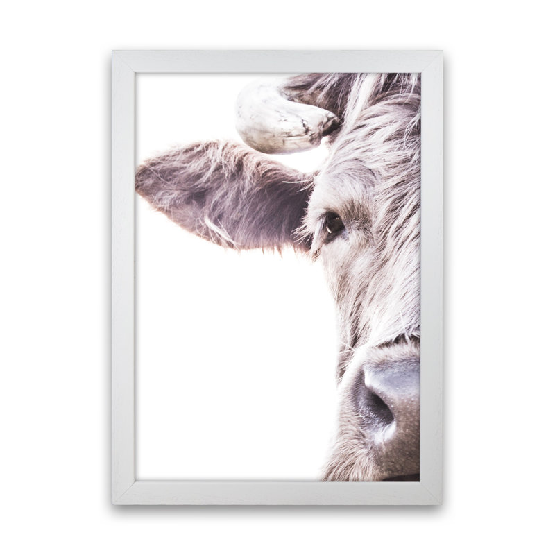 Highlander II by Victoria Frost - Print, White Framed, 63cm H x 46cm W x 3cm D