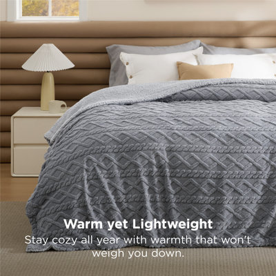 Bedsure Sherpa Blanket For Bed- Fuzzy Soft Cozy Blanket, Fleece Thick Warm Blanket For Fall