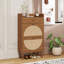 Armoire 2 portes, 1 tiroir, étagère à chaussures, double couche, convient à l'entrée-114624606