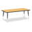 Berries Rectangle Activity Table-1120232-1120309-16525087