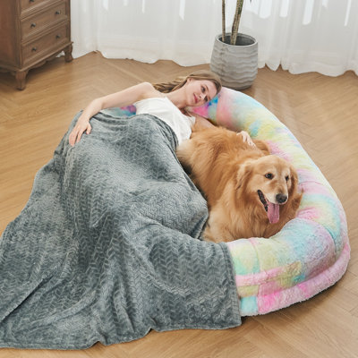 Lit pour animal de compagnie avec lit lavable et mousse orthopédique
