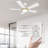 Amonnie 52'' Ceiling Fan with LED Lights-1365979911