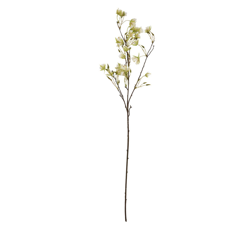 Anastasija Arrangement