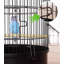 28,34 cage à oiseaux